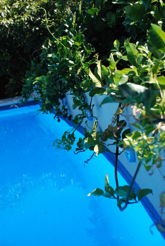 Porthole Pool Earthwork Landscape Architects